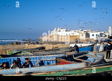 boats in the fishing port Essaouira Morocco barcas en el puerto pesquero de essaouira marruecos Stock Photo