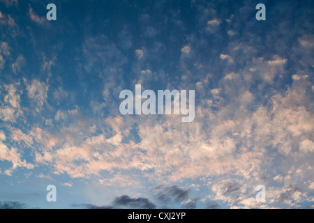 Altocumulus clouds, the so-called mackerel sky, near sunset Stock Photo