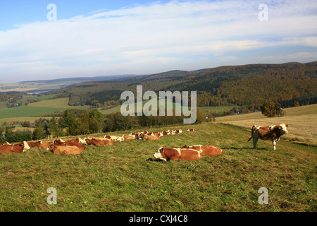 Erzgebirge Stock Photo