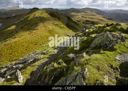 View from the summit of Cnicht (The Knight) mountain, looking north-eastwards along the summit ridge. Snowdonia, North Wales. Stock Photo