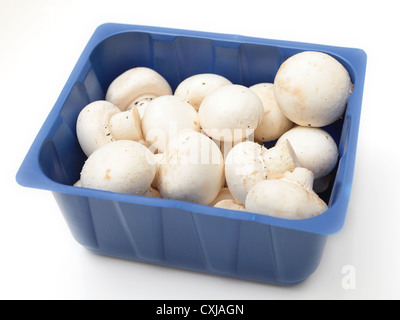 Button mushrooms, Agaricus bisporus, the common, champignon, crimini, white or table mushroom, in a supermarket tray, Stock Photo