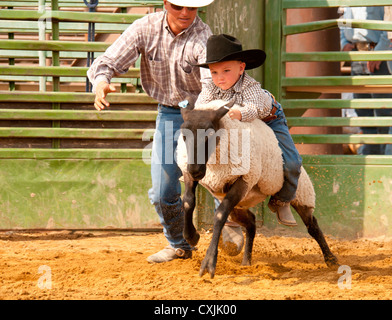 Young cowboy riding sheep during Mutton Busting event Rodeo, Bruneau, Idaho. USA Stock Photo