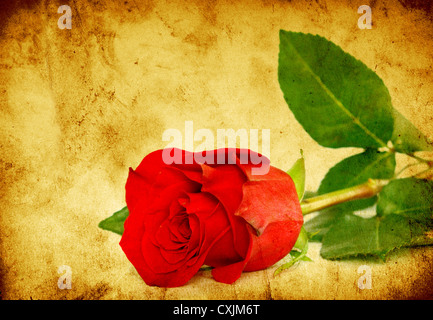 red rose on a grunge background with space for text Stock Photo