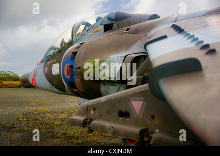 Derelict Harrier'GR3 XZ969, Sea Harrier FRS1 ZD581, and Harrier T4 XW271,  at Predannack airfield, Cornwall, UK Stock Photo