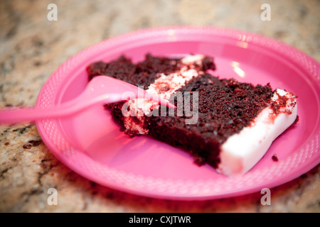 Piece of Cake on Plastic Plate