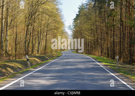 Country Road through Forest in Early Spring, Franconia, Bavaria, Germany Stock Photo