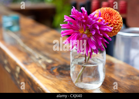 Dahlias in Vase, Toronto, Ontario, Canada Stock Photo