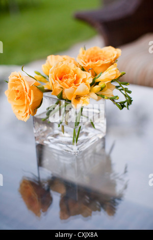 Roses in Vase, Muskoka, Ontario, Canada Stock Photo