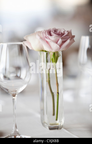 Roses in Vase and Wine Glass, Toronto, Ontario, Canada Stock Photo