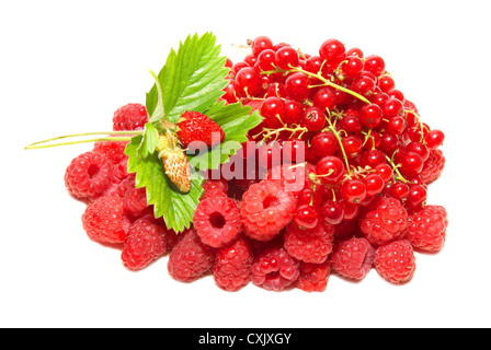 Pile of fruits Stock Photo