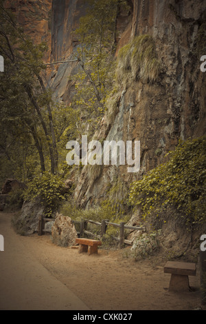 Benches along Riverside Walk Trail, Zion National Park, Utah, USA Stock Photo