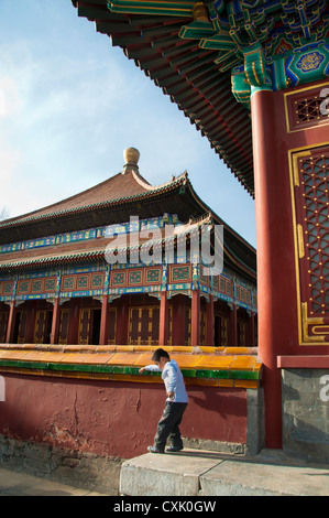 what is chinese new year in mandarin