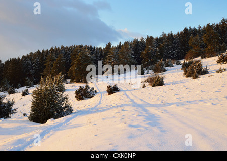 Winter Landscape near Villingen-Schwenningen, Black Forest, Baden-Wurttemberg, Germany