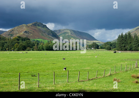 View looking across fields towards Helm Crag below stormy grey sky in summer near Grasmere Cumbria England UK United Kingdom GB Great Britain Stock Photo