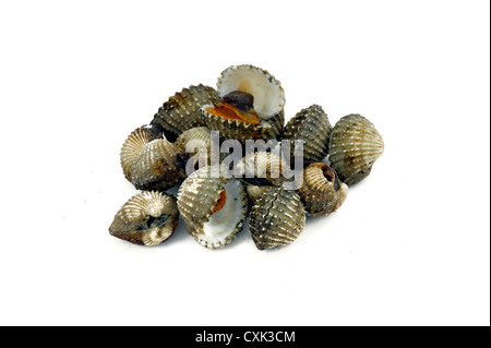 Baked scallops isolated on white background. Stock Photo