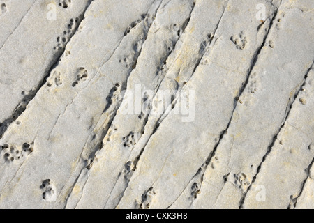 Stone with Crack, Nanortalik, Kujalleq, Kejser Franz Joseph Fjord, Greenland Stock Photo