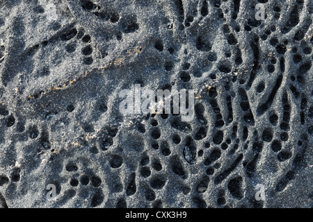 Stone with Crack, Nanortalik, Kujalleq, Kejser Franz Joseph Fjord, Greenland Stock Photo