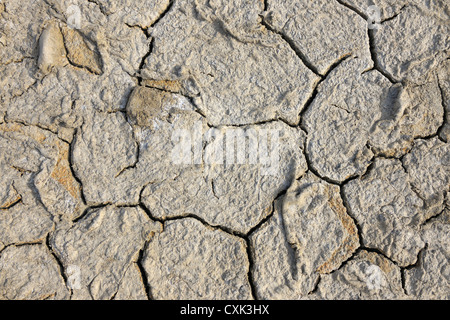 Cracked Soil, Nanortalik, Kujalleq, Kejser Franz Joseph Fjord, Greenland Stock Photo