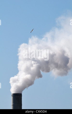 Smoke Stack, Sete, Herault, Languedoc-Roussillon, France Stock Photo