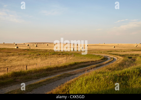 Gravel Road through Hay Fields, Pincher Creek, Alberta, Canada Stock Photo