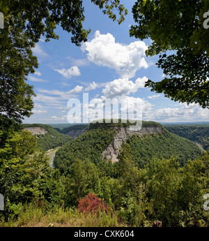 Genesee River Gorge, Letchworth State Park, New York State Stock Photo