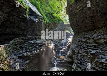 Watkins Glen State Park is a 400-foot-deep (120 m) narrow river gorge in upstate New York Stock Photo