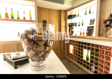 Agusti Torreló winery. Sant Sadurni de Anoia. Barcelona. Spain Stock Photo