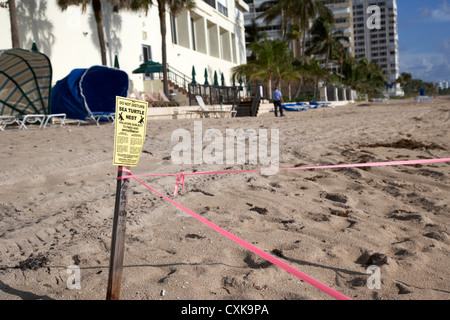 sea turtle nest cordoned off in front of apartments hotels and beachfront developments fort lauderdale beach florida usa Stock Photo