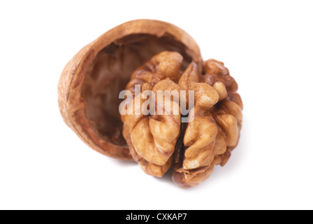 Walnut and shell Stock Photo