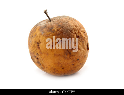 rotten apple isolated on a white background Stock Photo