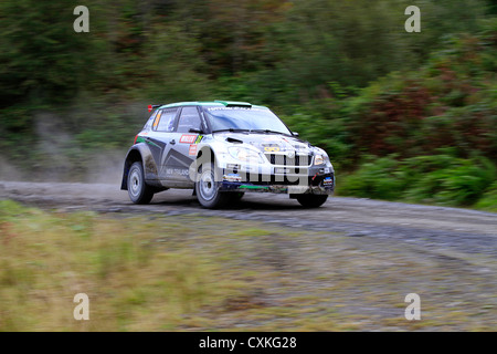 WRC 2012, Wales, skoda rally car Stock Photo