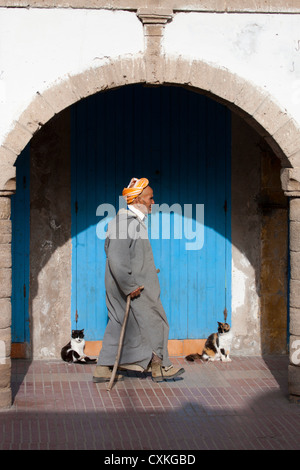 Old Moroccan man walking under arch between two cats sunbathing, Essaouira, Morocco Stock Photo