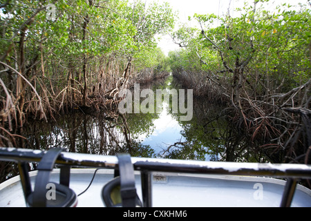 on board an airboat ride through a mangrove jungle in everglades city florida everglades usa - motion blur