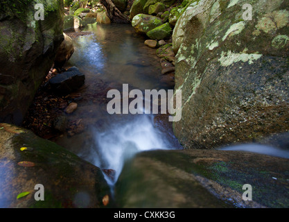 Small waterfall in a rainforest stream, Minnamurra Rainforest, Budderroo National Park, NSW, Australia Stock Photo