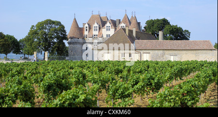 Monbazillac castle and it's vineyards Perigord France Stock Photo