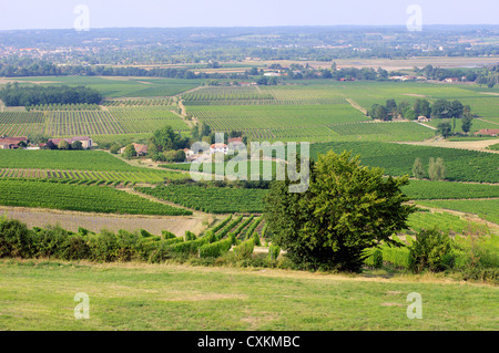 Monbazillac vineyards Perigord France Stock Photo