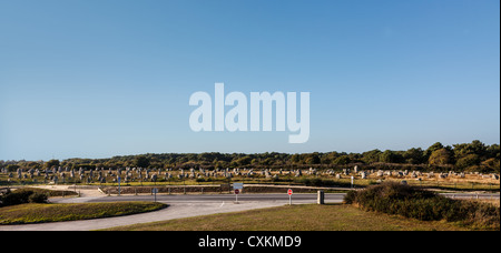 Panoramic view of the Menec Alignments near the roads in Carnac area in Brittany in north-western France. Stock Photo