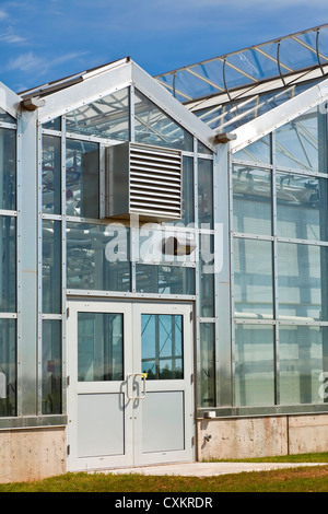 Large commercial glass greenhouse. Stock Photo