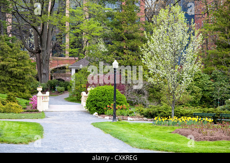 Springtime view of a public park in Halifax, Nova Scotia. Stock Photo