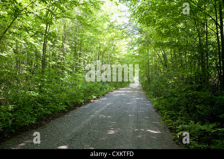 Country Road, Ontario, Canda Stock Photo