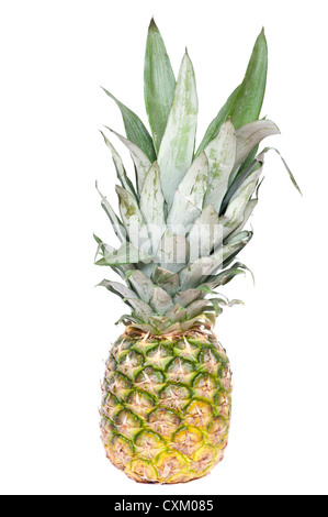 Whole Fresh Pineapple Stock Photo