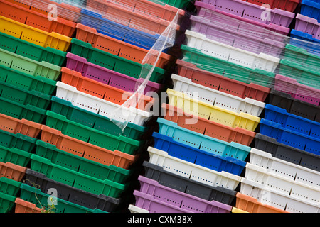 Colourful plastic crates stacked in a fish processing factory in Nova Scotia, Canada Stock Photo
