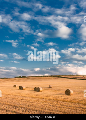 Straw bales in a stubble field,  North Yorkshire, England UK Stock Photo