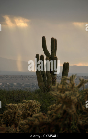 A sunset during a monsoon shower is seen from Sahuarita, Arizona, USA, in the Sonoran Desert. Stock Photo