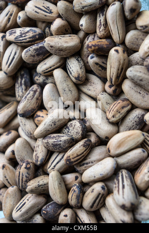 Whole pine nuts Stock Photo