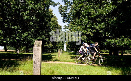 Cyclists passing St Paul's Vista a protected preserved view in grade 1 listed Richmond Park London England Europe Stock Photo