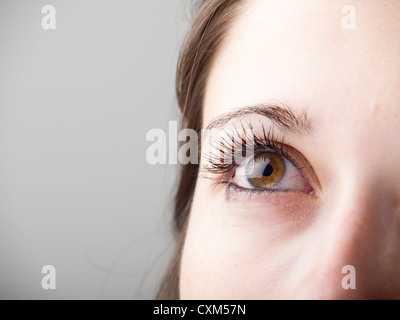 Close up of woman's brown eye with big eyelashes Stock Photo