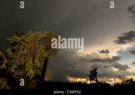 A sunset during a monsoon shower is seen from Sahuarita, Arizona, USA, in the Sonoran Desert. Stock Photo