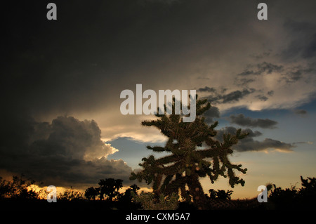 A sunset during a monsoon shower is seen from Sahuarita, Arizona, USA, in the Sonoran Desert. Stock Photo