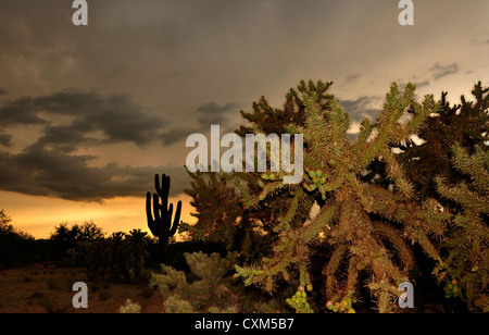 A sunset during a monsoon shower is seen from Sahuarita, Arizona, USA, in the Sonoran Desert. Stock Photo